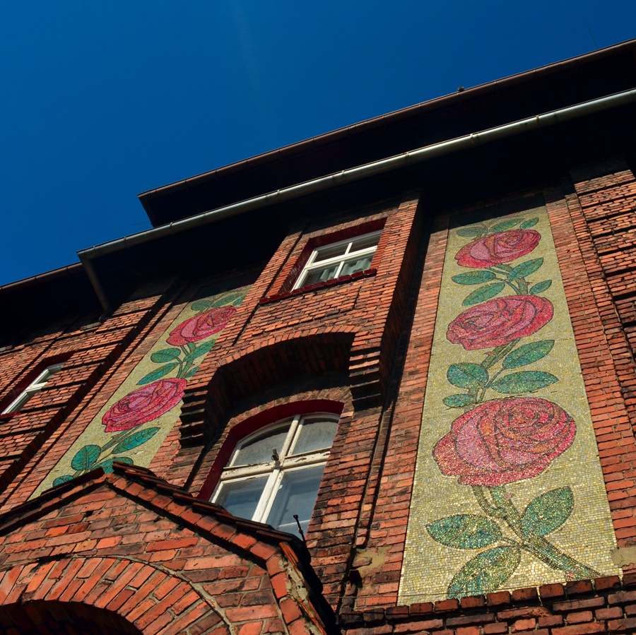Nikiszowiec district with beautiful roses on the building